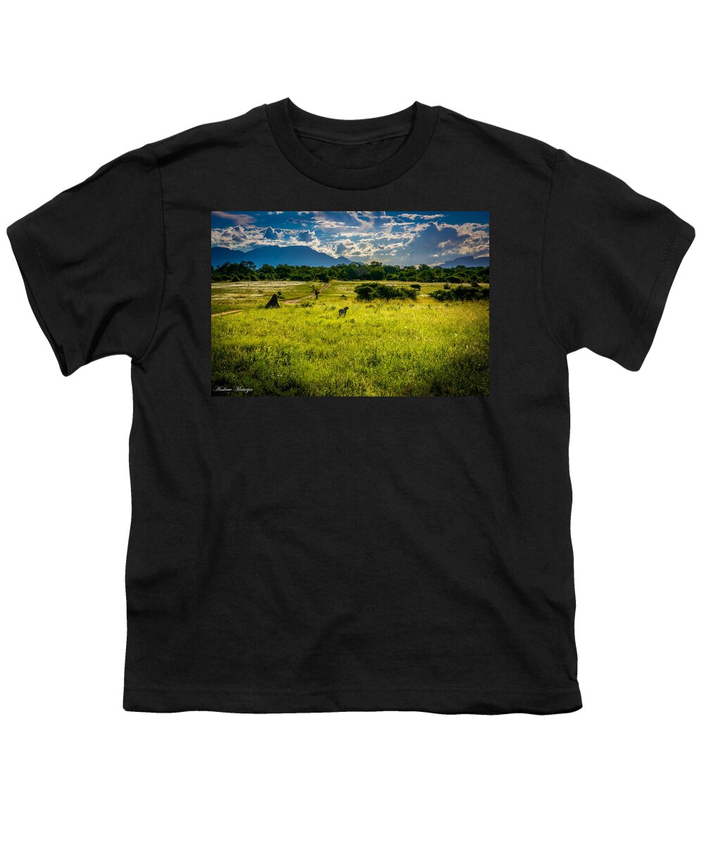 Cheetah Youth T-Shirt featuring the photograph The Cheetah by Andrew Matwijec