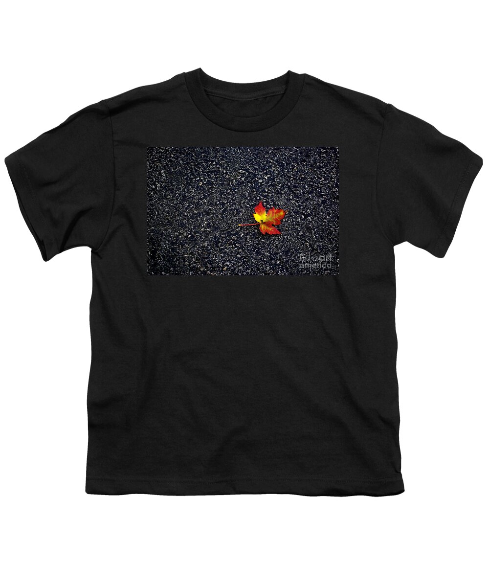 Photo Youth T-Shirt featuring the photograph The Colors of Autumn by Frank J Casella