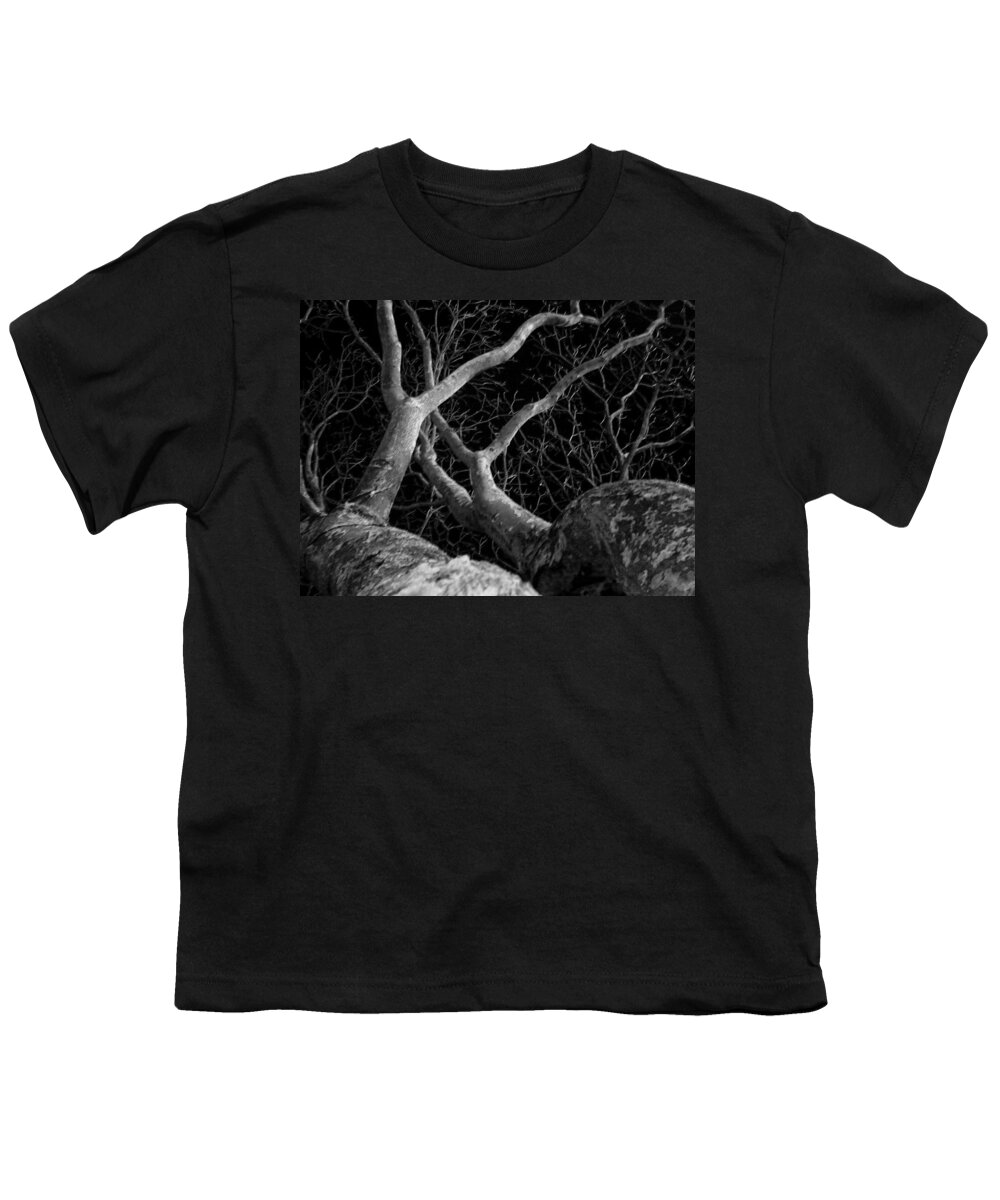 Plant Youth T-Shirt featuring the photograph The Dark and the Tree 2 by Fabio Giannini