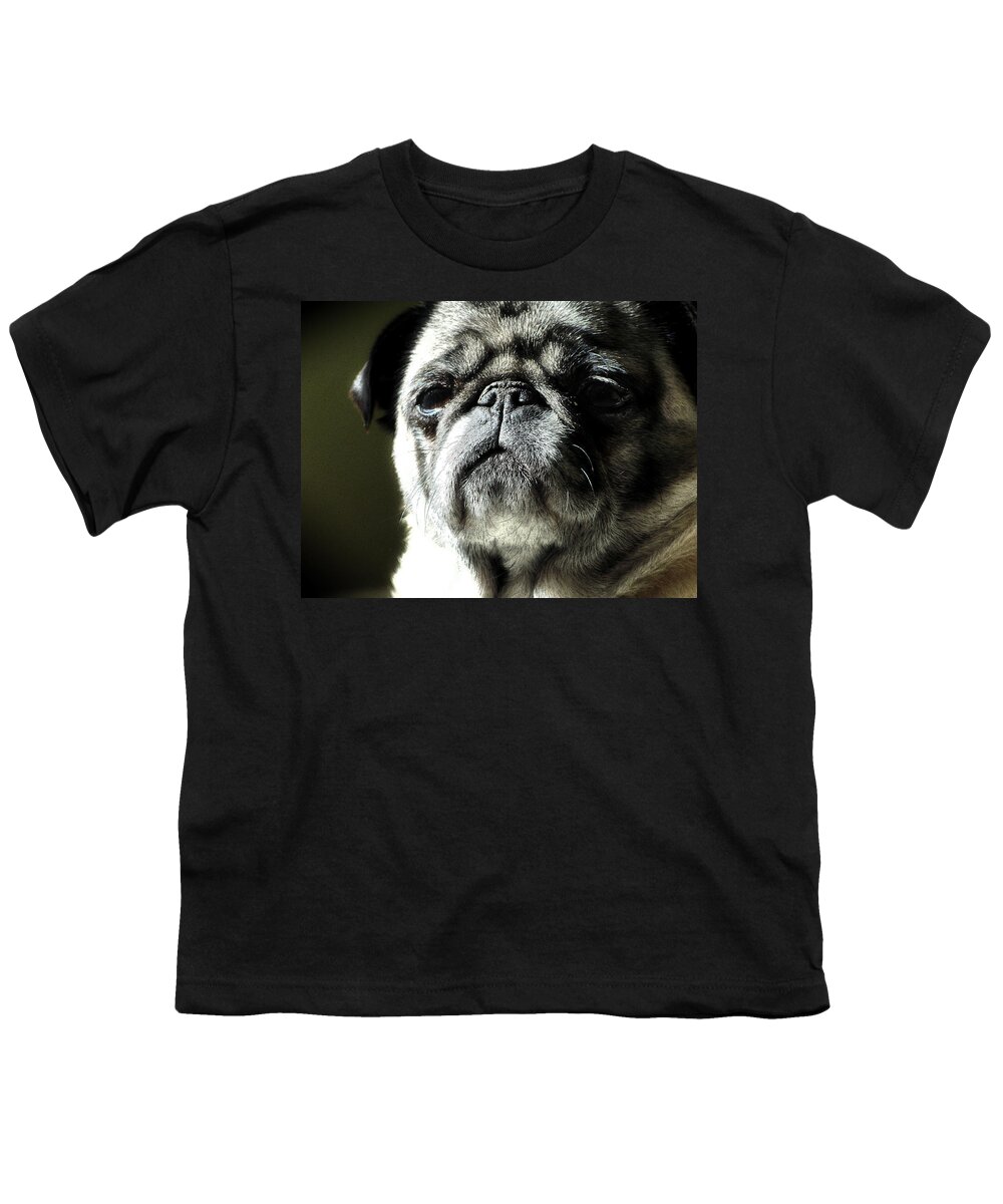 Dog Youth T-Shirt featuring the photograph The Matriarch by Michael Eingle
