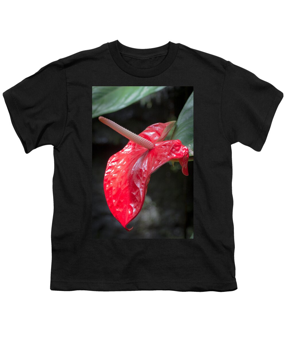 Antherium Youth T-Shirt featuring the photograph The Unique Antherium by Richard Goldman