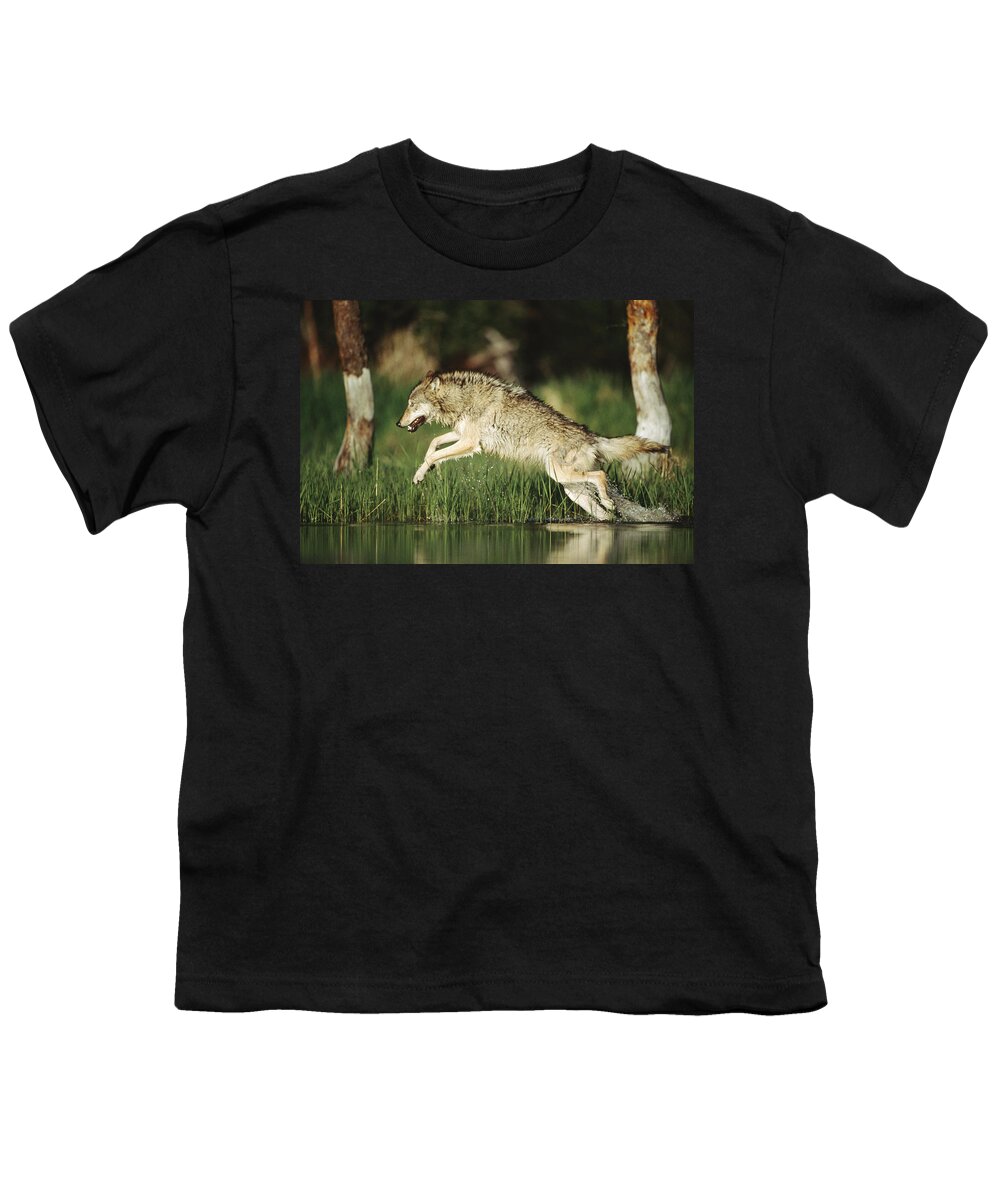 00170051 Youth T-Shirt featuring the photograph Timber Running Through Water by Tim Fitzharris
