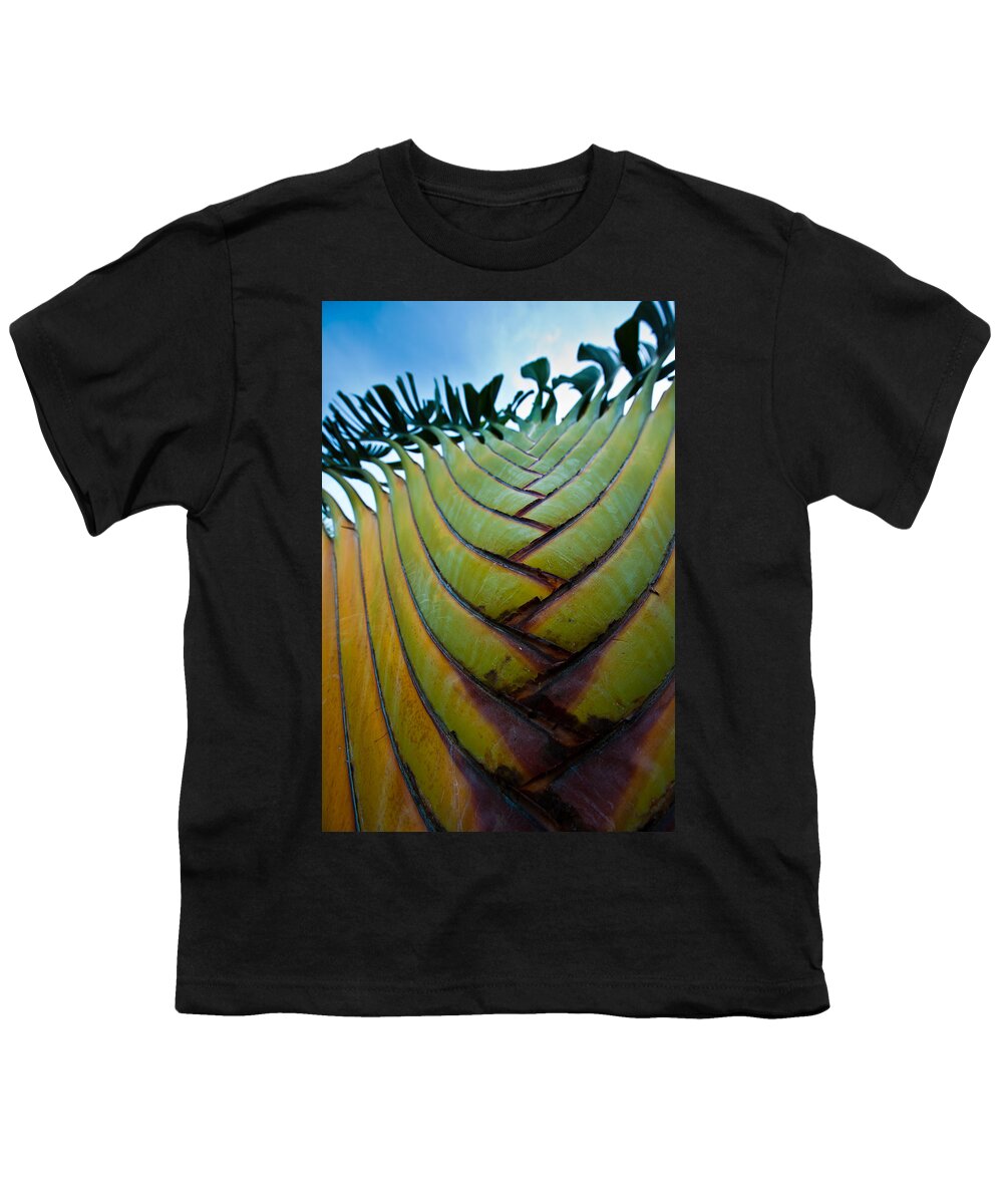Los Cabos Youth T-Shirt featuring the photograph To The Sky by Sebastian Musial