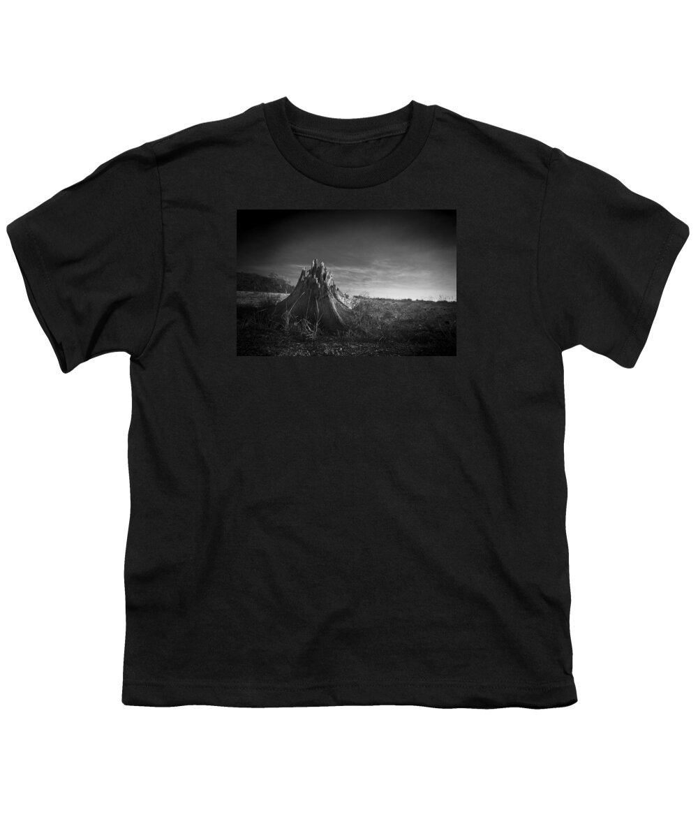 Florida Youth T-Shirt featuring the photograph Tree Stump In Lovers Key by Bradley R Youngberg