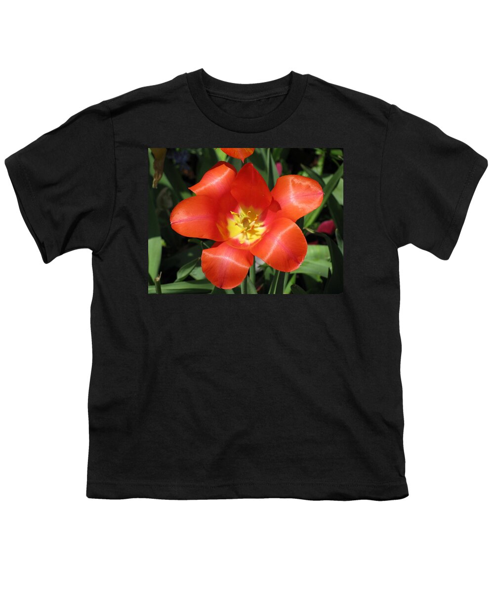 Tulip Youth T-Shirt featuring the photograph Tulips - Desire 04 by Pamela Critchlow