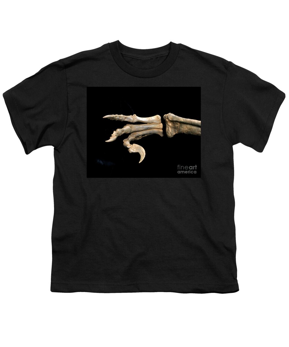 Fossil Youth T-Shirt featuring the photograph Utahraptor Foot Fossil by Francois Gohier