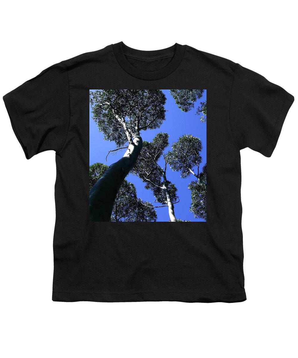 Landscape Youth T-Shirt featuring the digital art Valley of the Giant Tingles by Tim Richards