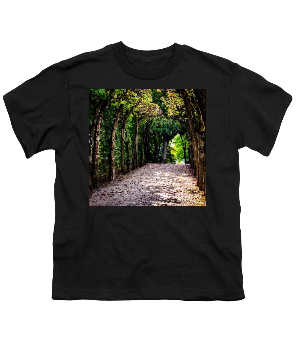 1x1 Youth T-Shirt featuring the photograph Walk Through The First Days Of Fall by Hannes Cmarits