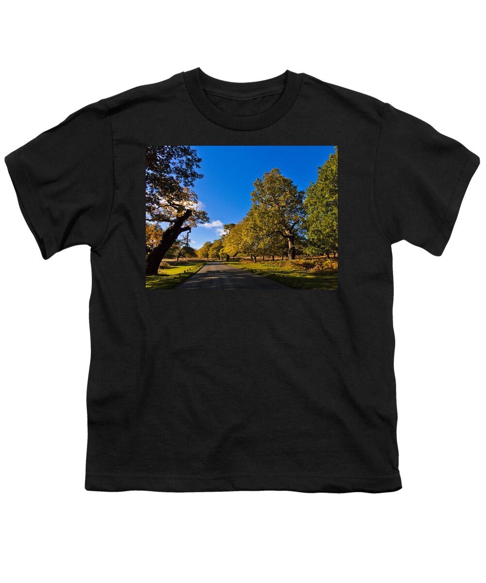 Richmond Park Youth T-Shirt featuring the photograph Walking Path by Maj Seda