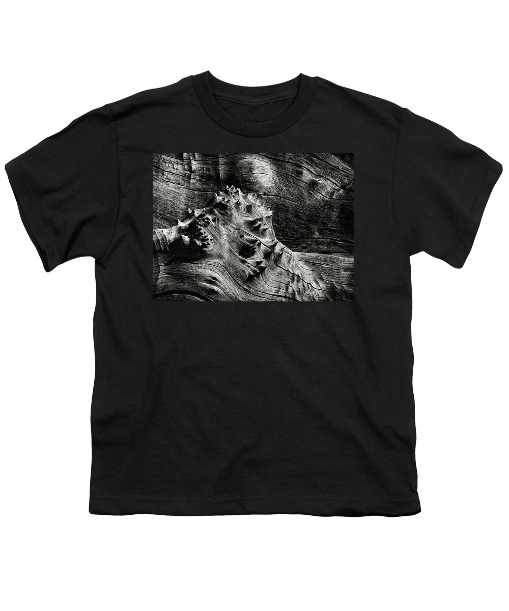 Wood Youth T-Shirt featuring the photograph Weathered Wood by Robert Woodward