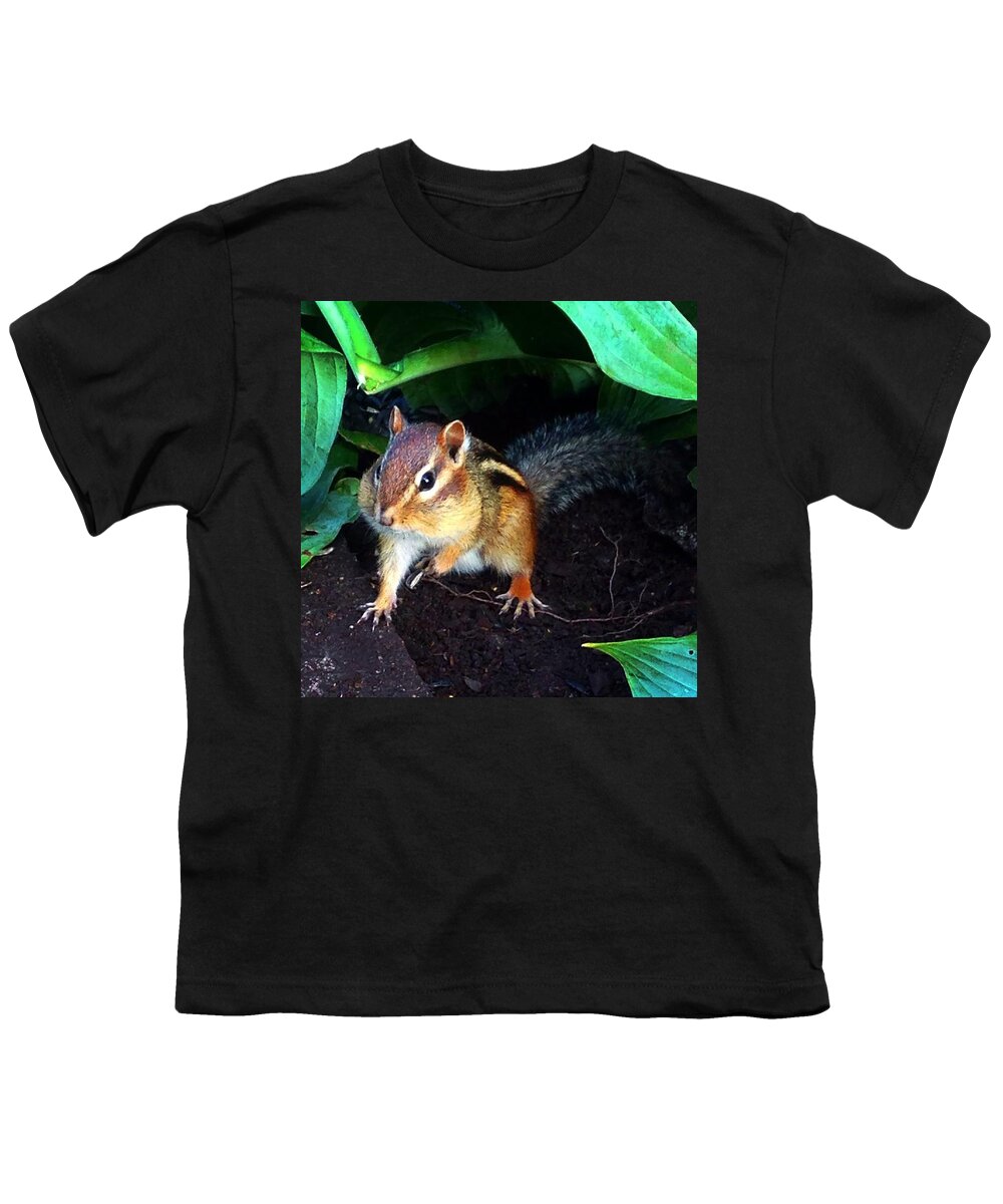 Squirrel Youth T-Shirt featuring the photograph What Are You Looking At by Sharon Duguay