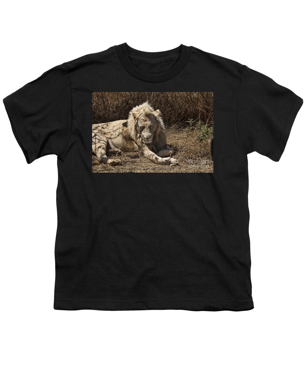 White Lion Youth T-Shirt featuring the photograph White Lion Male-Africa V2 by Douglas Barnard