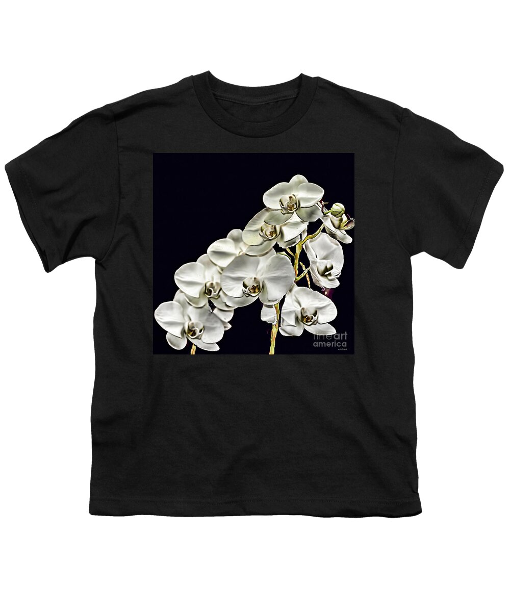 White Orchids Youth T-Shirt featuring the photograph White Orchids by Tom Prendergast
