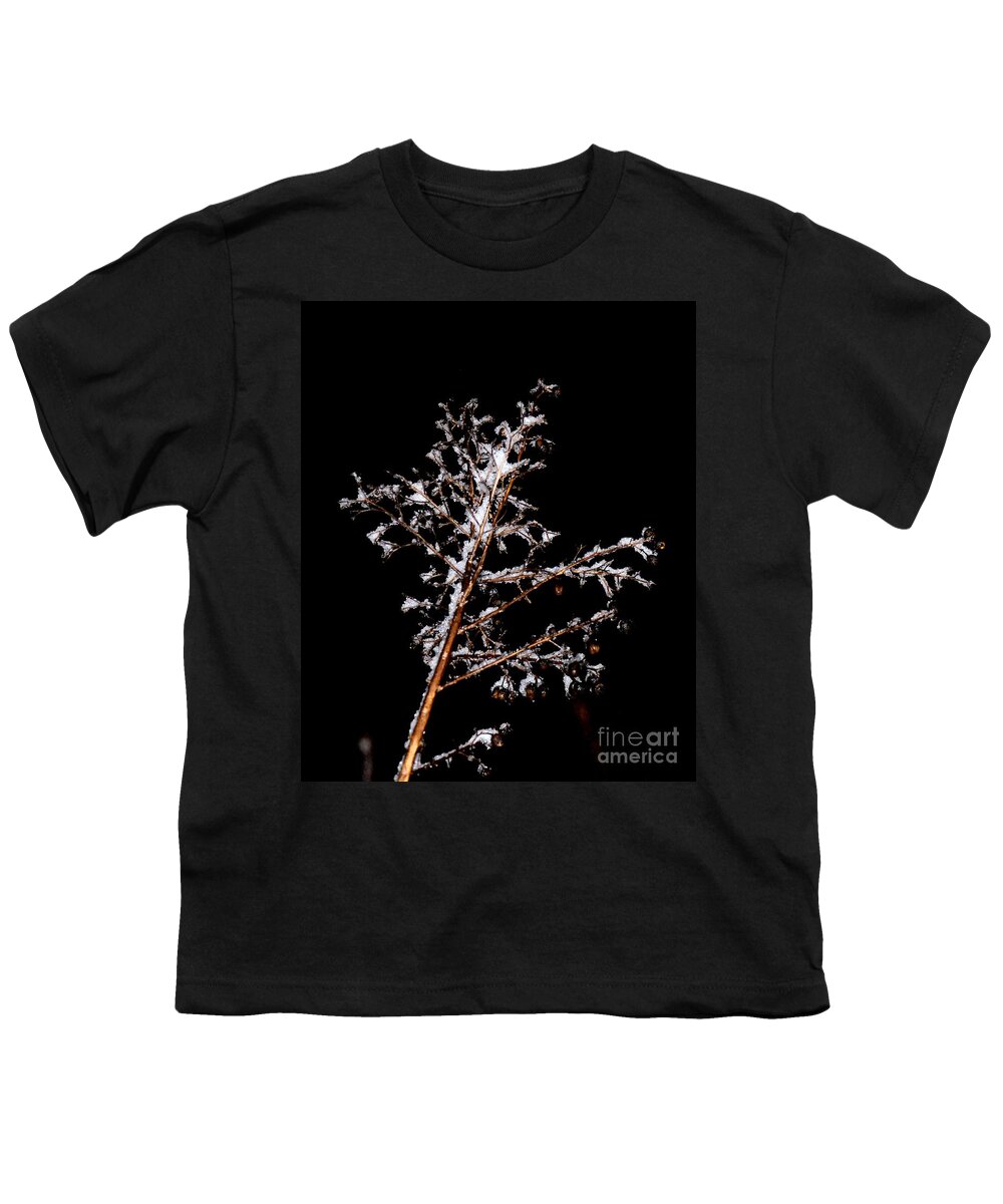 Winter Crepe Myrtle Youth T-Shirt featuring the photograph Winter Crepe Myrtle by Maria Urso