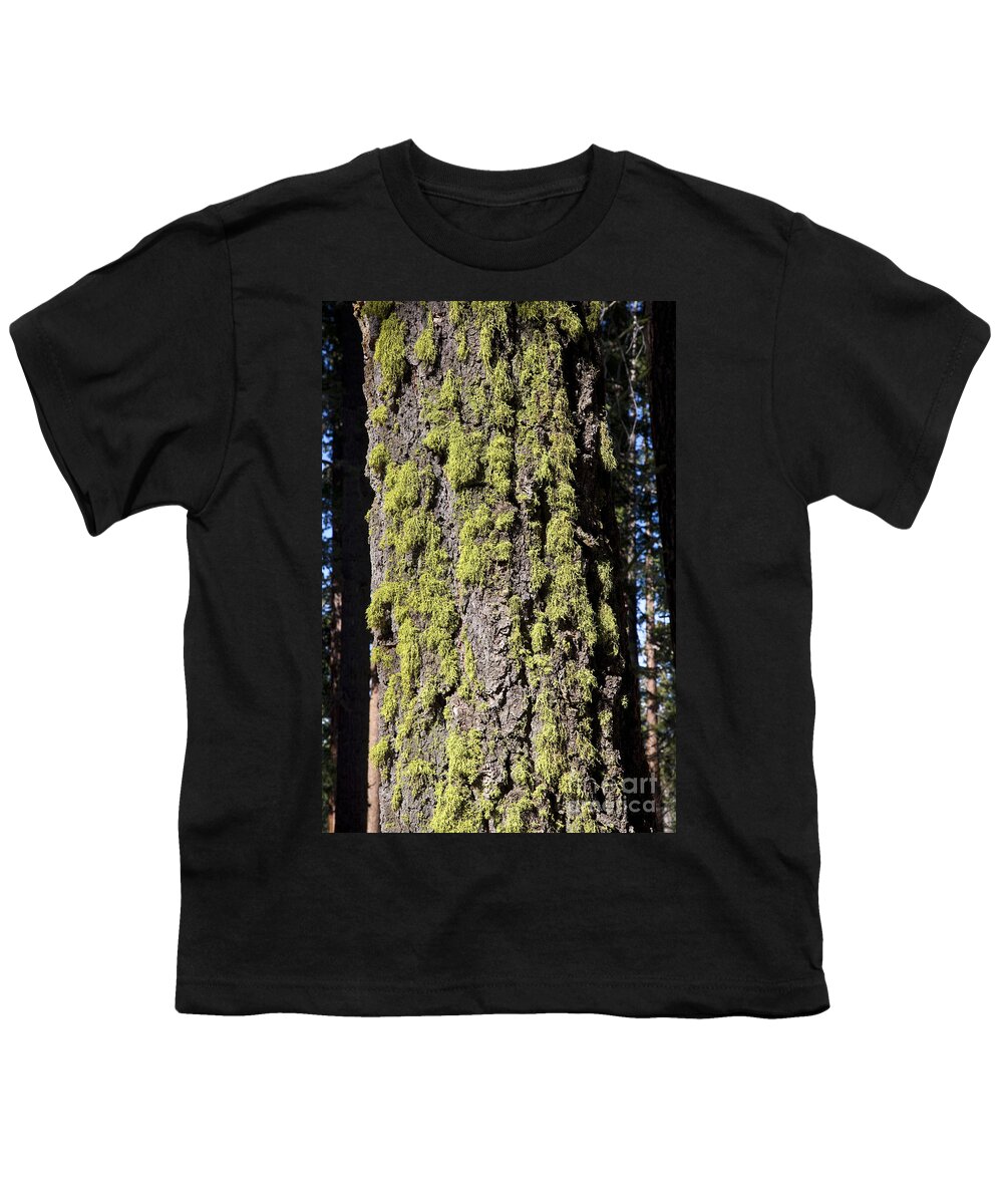 Tree Youth T-Shirt featuring the photograph Wolf Lichen by Gregory G. Dimijian, M.D.