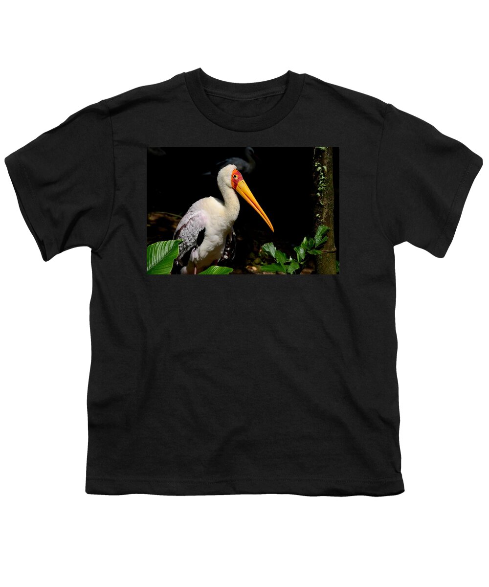 Singapore Youth T-Shirt featuring the photograph Yellow Billed Stork peers at camera by Imran Ahmed