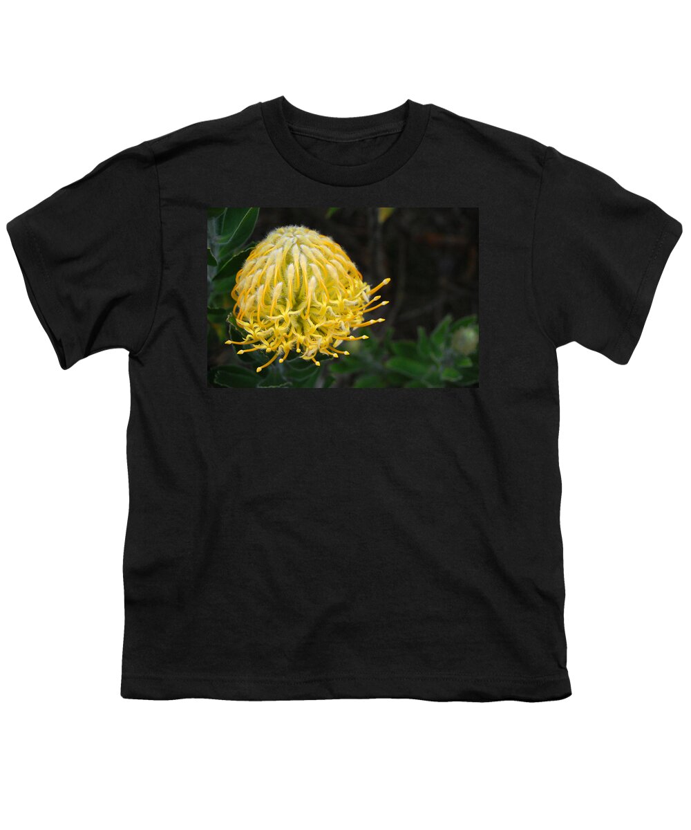 Kula Botanical Gardens Youth T-Shirt featuring the photograph Yellow Pincushion Protea 1 by Amy Fose
