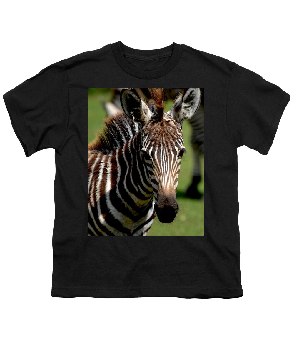 Zebra Youth T-Shirt featuring the photograph Zebra Foal 4 by Maggy Marsh
