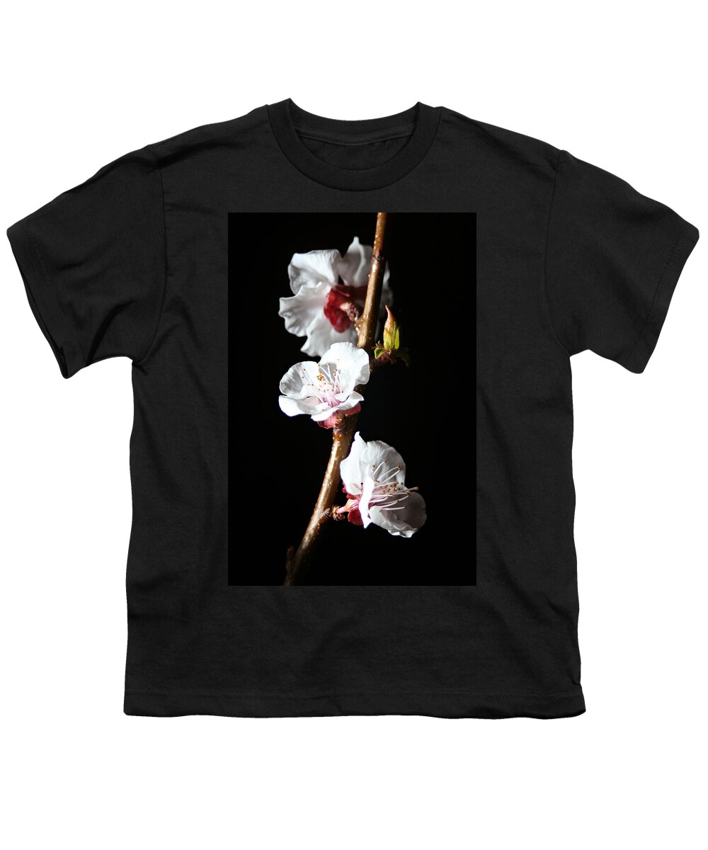 Apricot Youth T-Shirt featuring the photograph Apricot Flowers At Night #2 by Masha Batkova