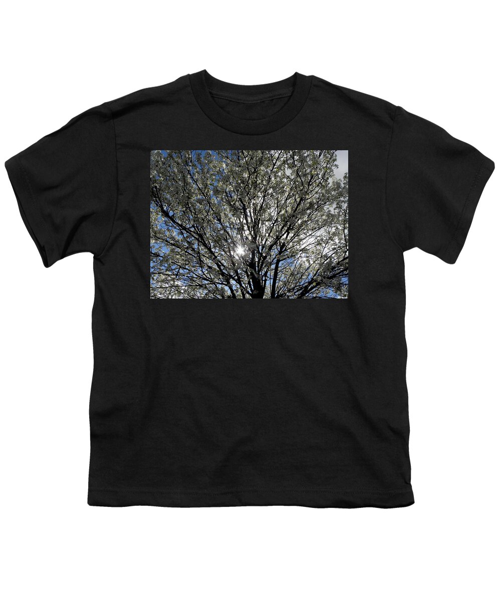 Cherry Blossom Youth T-Shirt featuring the photograph Cherry Blossoms by Kim Galluzzo Wozniak