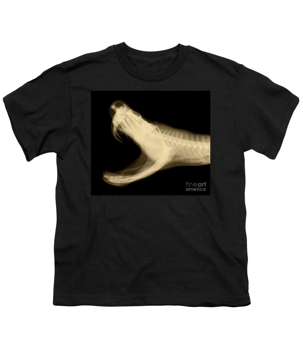 Eastern Diamondback Rattlesnake Youth T-Shirt featuring the photograph Eastern Diamondback Rattlesnake by Ted Kinsman