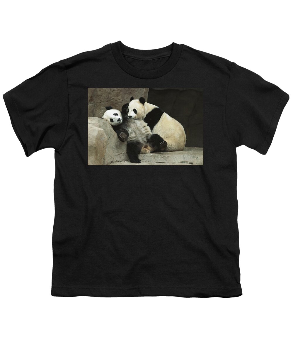 Affection Youth T-Shirt featuring the photograph Giant Panda Ailuropoda Melanoleuca #1 by San Diego Zoo