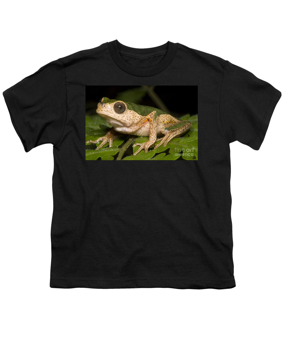 Frog Youth T-Shirt featuring the photograph Monkey Frog #1 by Dante Fenolio
