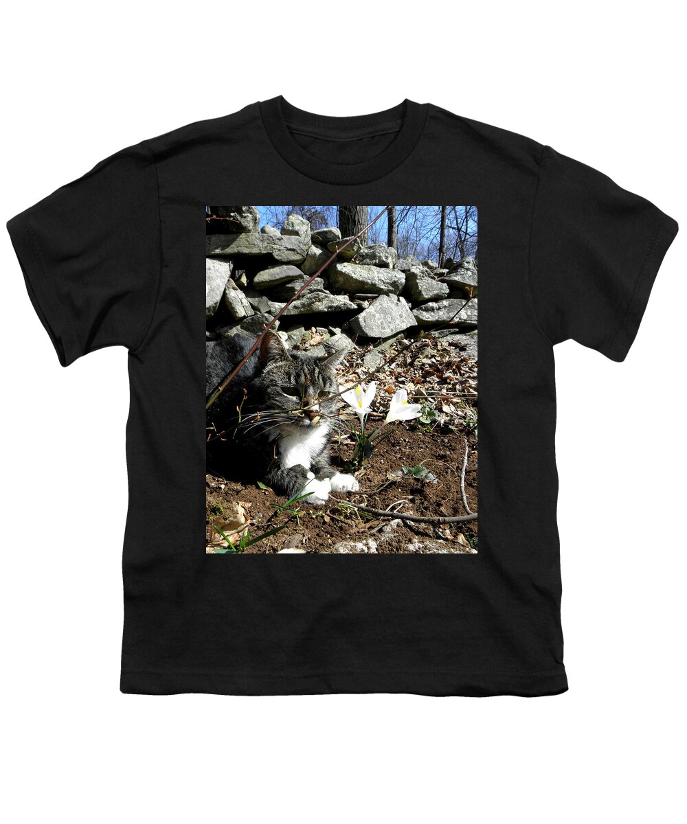 Kitty Youth T-Shirt featuring the photograph Spring kitty #1 by Kim Galluzzo