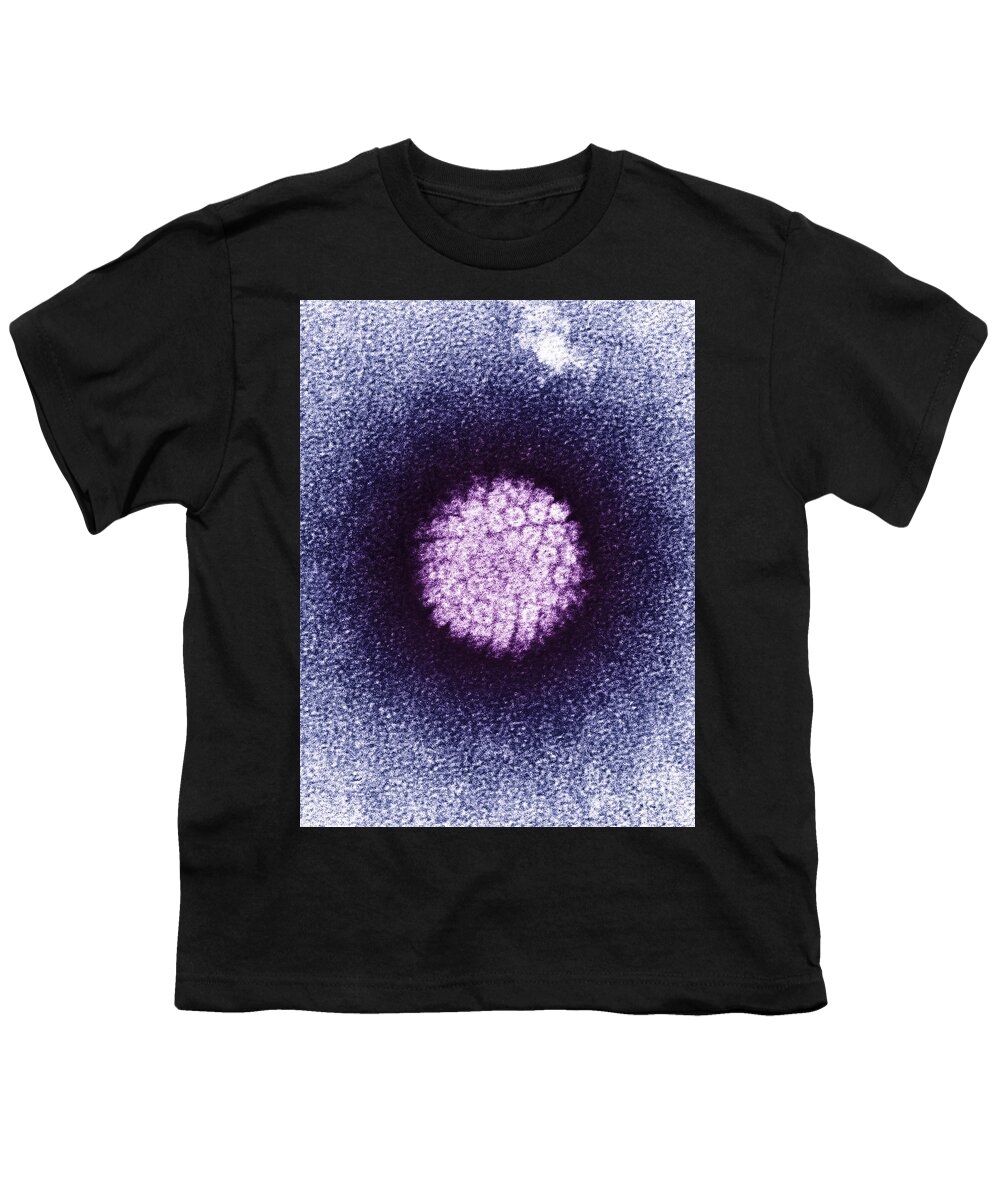 Electron Micrograph Youth T-Shirt featuring the photograph Human Papilloma Virus Hpv #4 by Science Source