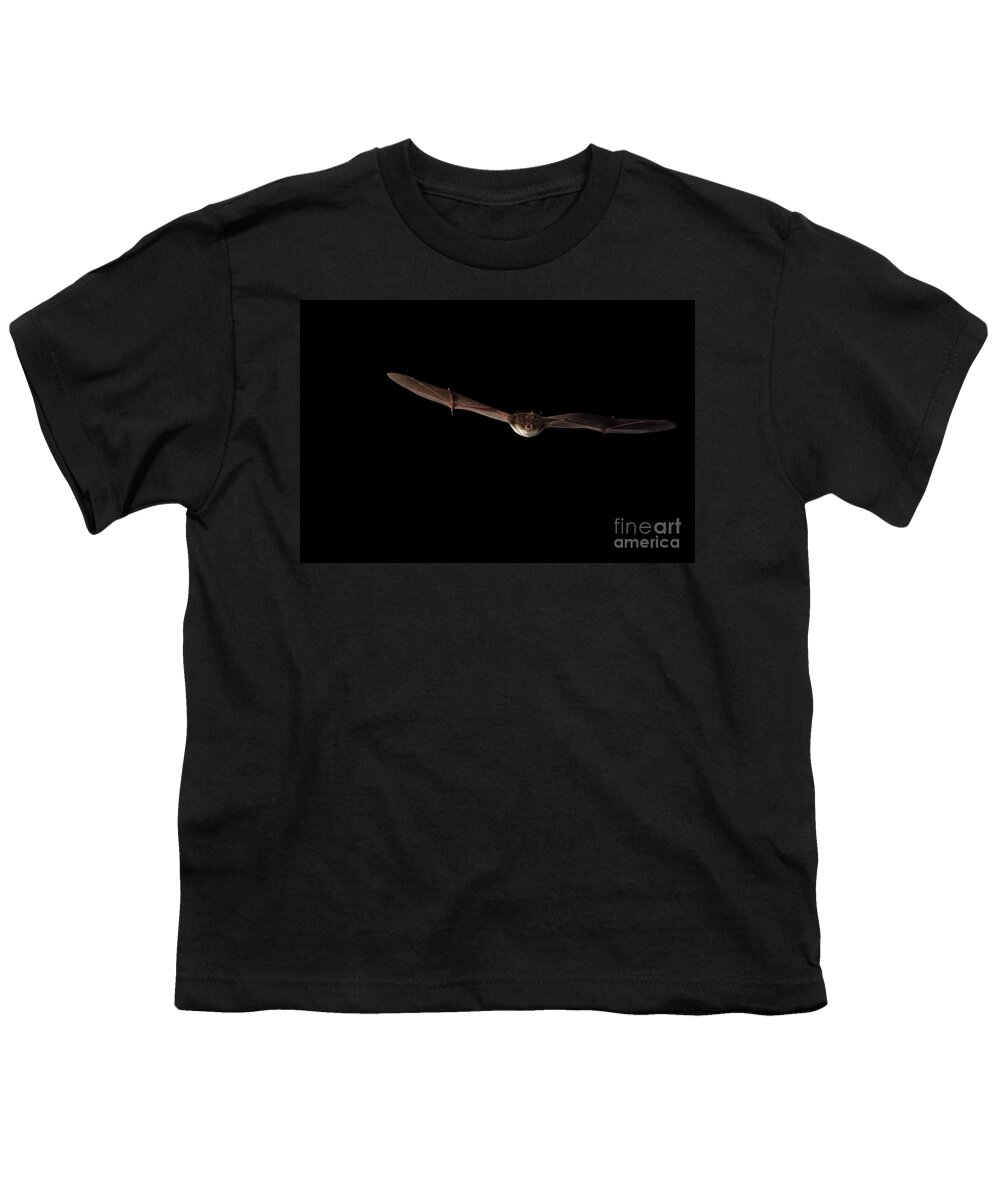 Fauna Youth T-Shirt featuring the photograph Little Brown Bat #4 by Ted Kinsman
