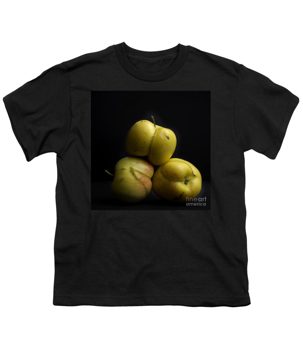 Agriculture Youth T-Shirt featuring the photograph Apples #5 by Bernard Jaubert