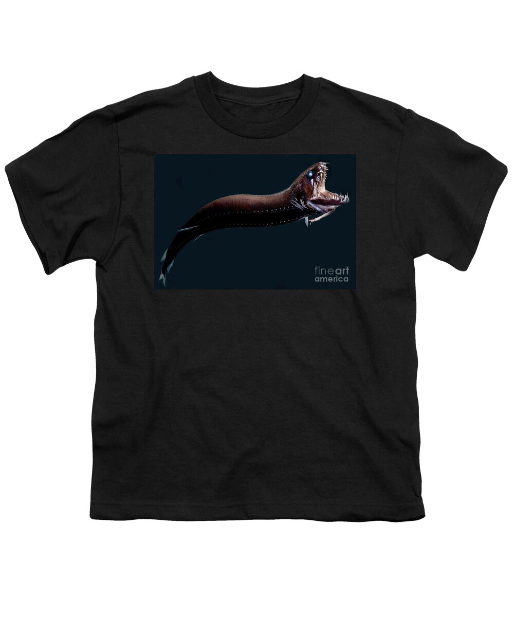 Dragonfish Youth T-Shirt featuring the photograph Deep-sea Dragonfish by Dante Fenolio