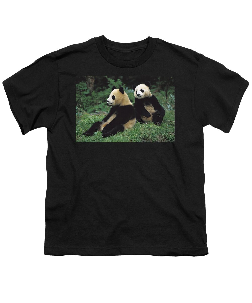 00620153 Youth T-Shirt featuring the photograph Giant Panda Ailuropoda Melanoleuca #8 by Cyril Ruoso
