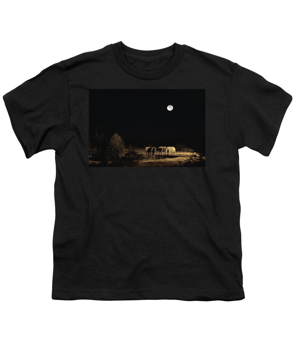 Mp Youth T-Shirt featuring the photograph African Elephant Loxodonta Africana by Konrad Wothe