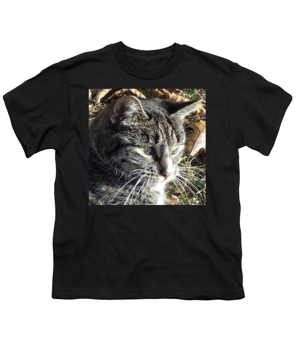 Cat Youth T-Shirt featuring the photograph Always In Hunt Mode by Kim Galluzzo Wozniak