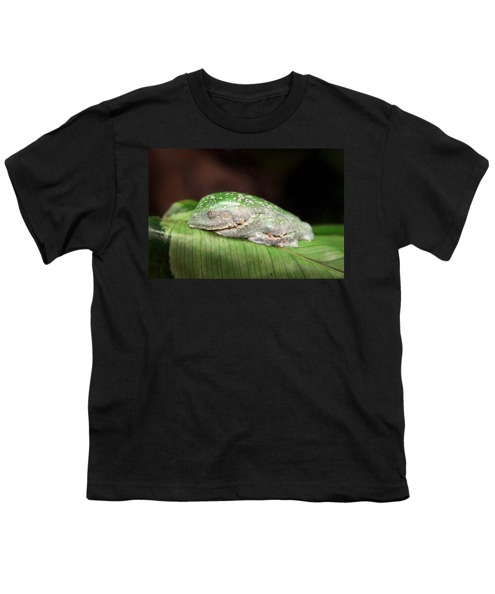 Granger Photography Youth T-Shirt featuring the photograph Amazon Leaf Frog by Brad Granger