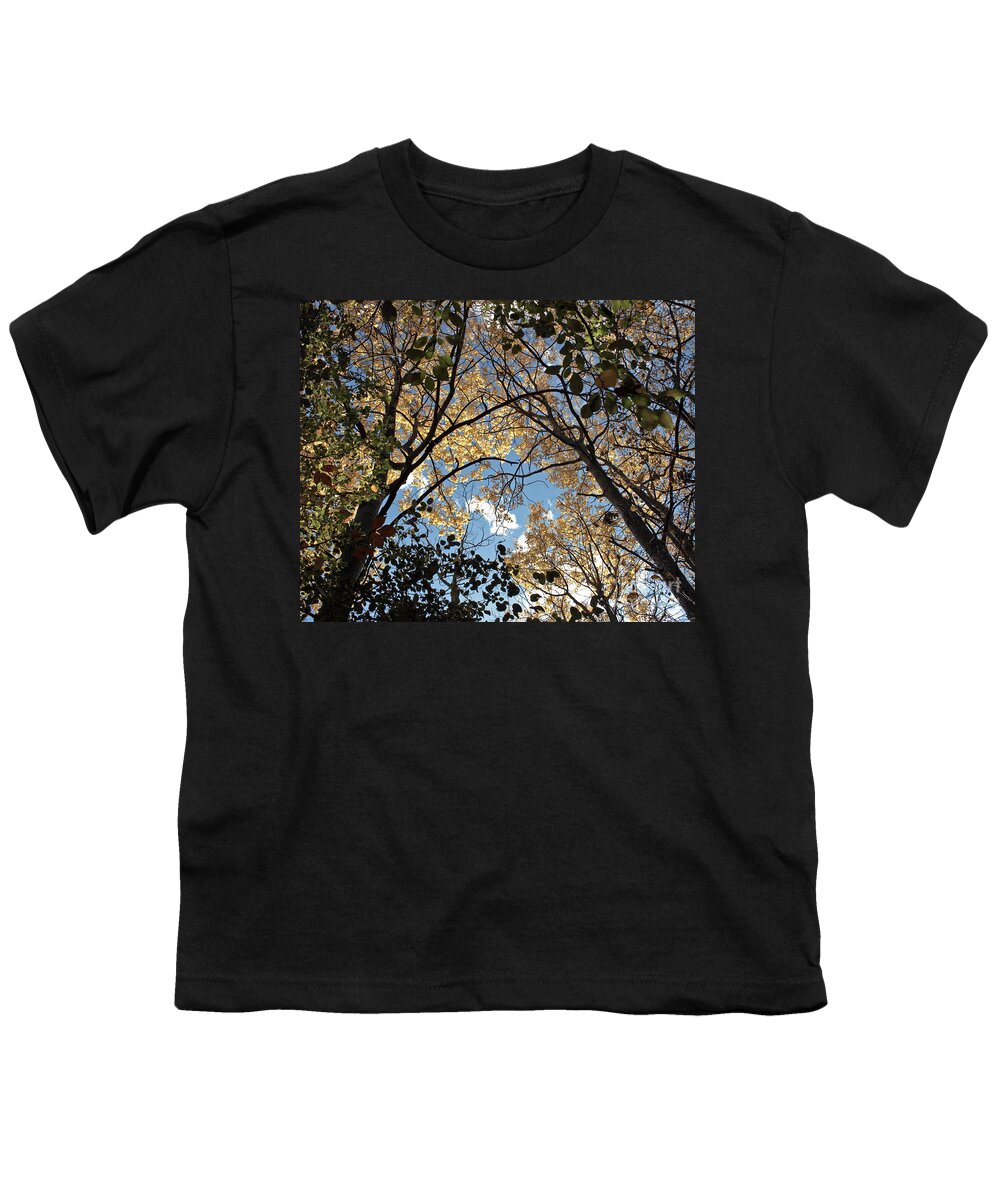 Scenery Youth T-Shirt featuring the photograph Arch To The sky by Barbara McMahon