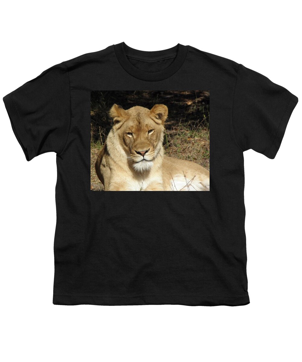 Lioness Youth T-Shirt featuring the photograph Aww Tilt by Kim Galluzzo