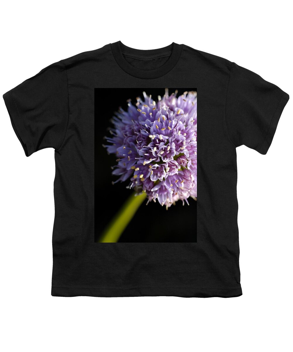 Flower Youth T-Shirt featuring the photograph Beautiful purple flower Allium senescens by Matthias Hauser