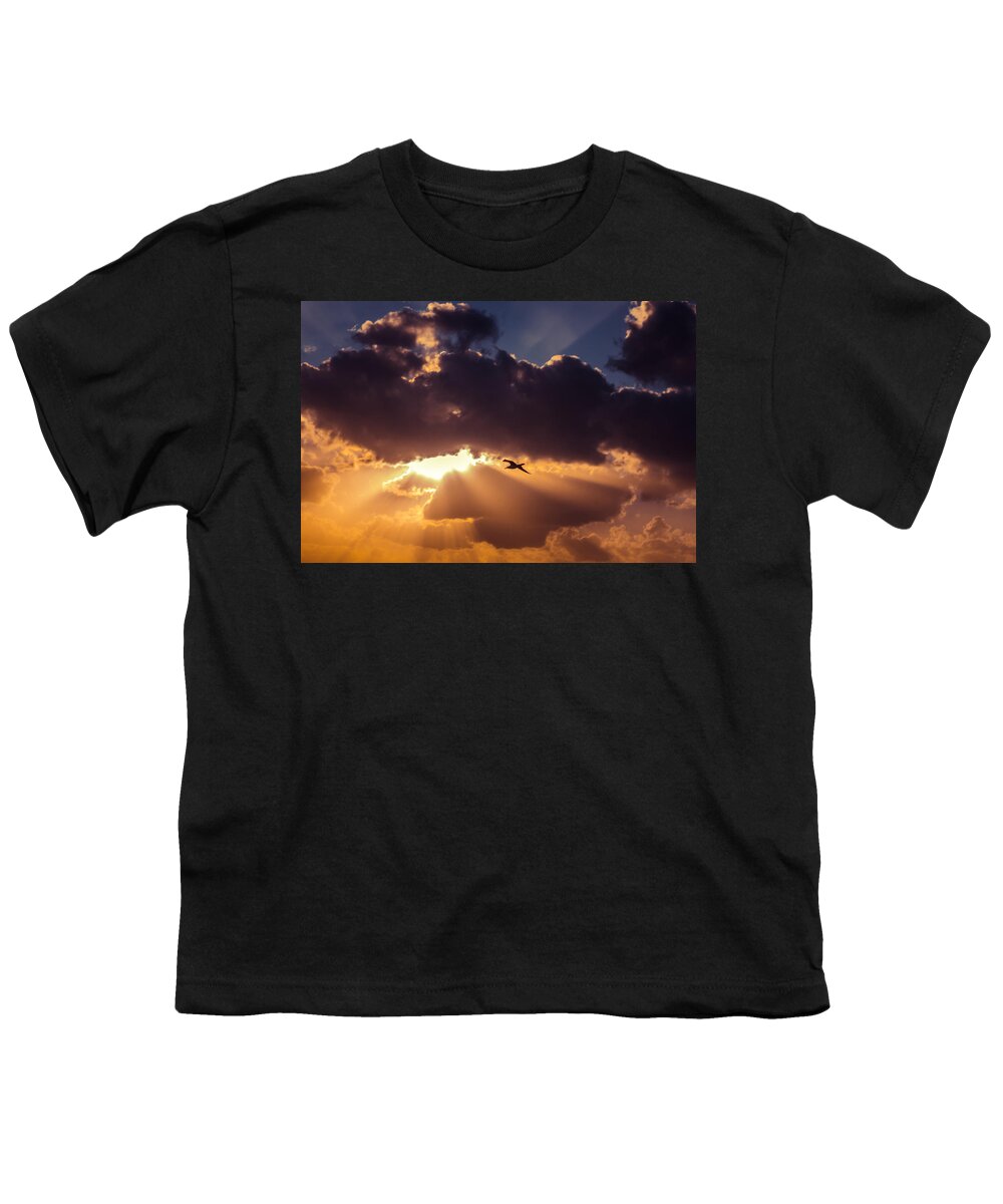 Air Youth T-Shirt featuring the photograph Bird in sunrise rays by Michael Goyberg