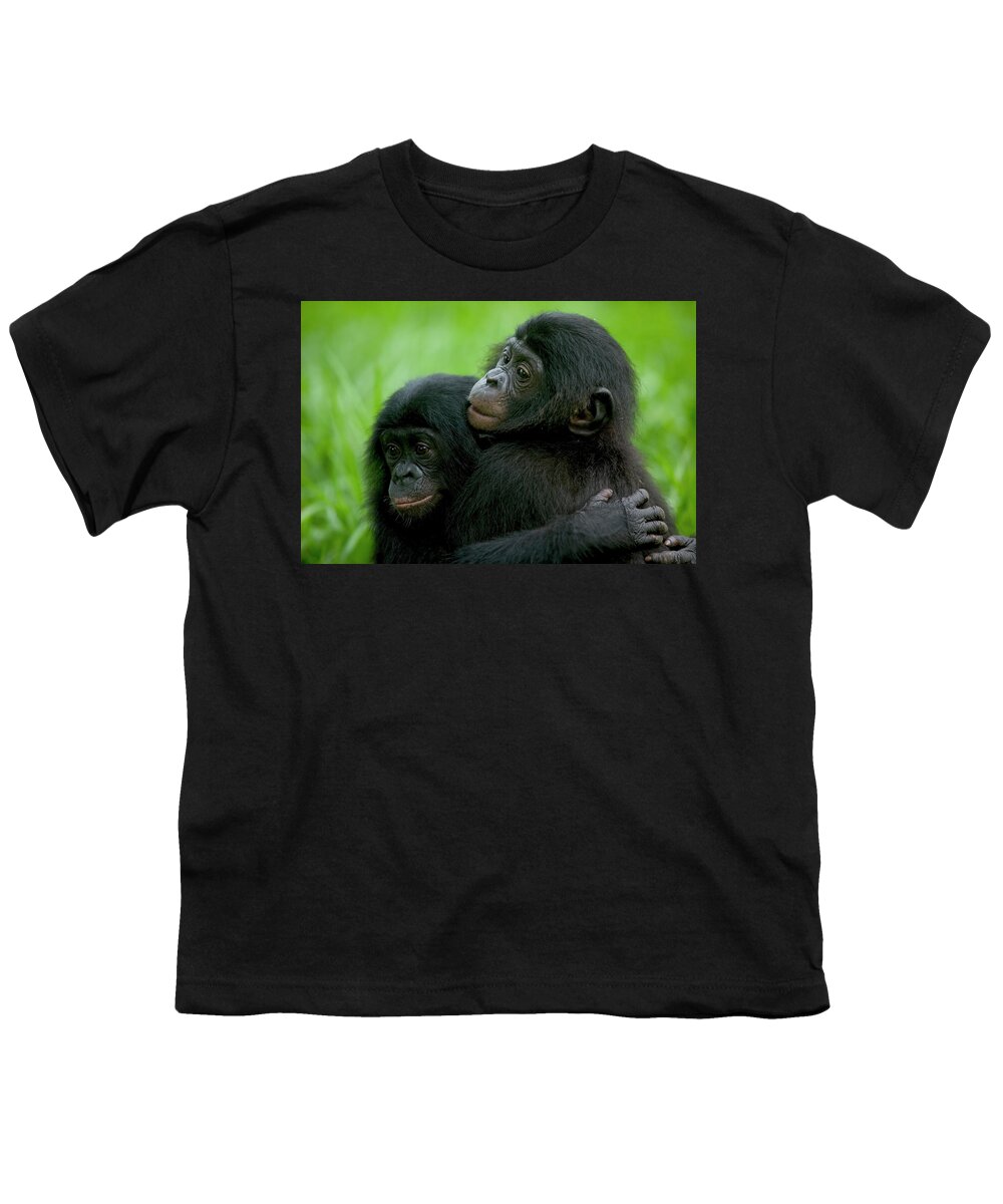 Mp Youth T-Shirt featuring the photograph Bonobo Pan Paniscus Pair Of Orphans by Cyril Ruoso