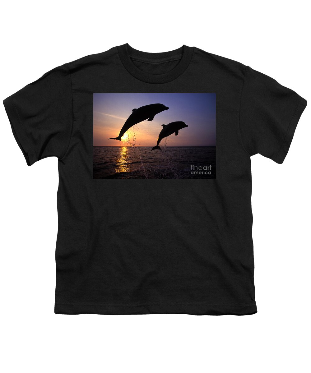 Cetacean Youth T-Shirt featuring the photograph Bottlenose Dolphins by Francois Gohier and Photo Researchers