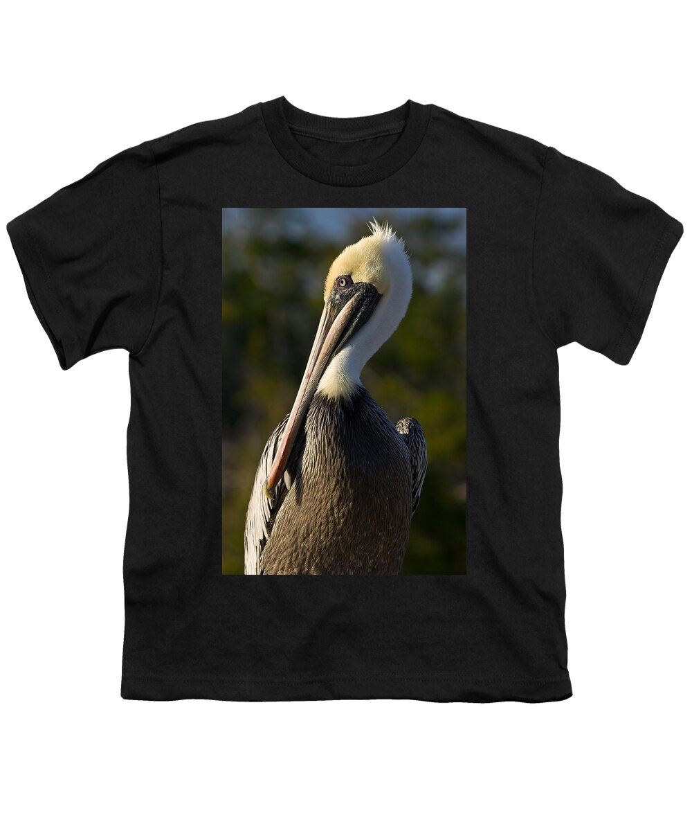 Beak Youth T-Shirt featuring the photograph Brown Pelican by Ed Gleichman