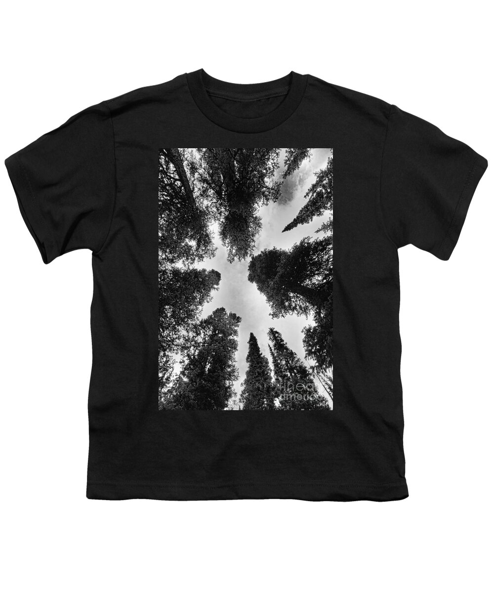 'brainard Lake' Youth T-Shirt featuring the photograph Colorado Rocky Mountain Forest Sky BW by James BO Insogna