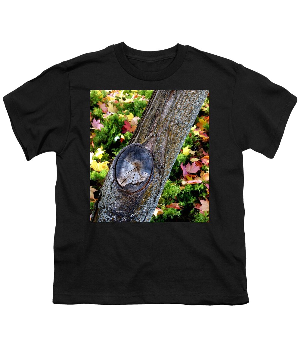 Autumn Youth T-Shirt featuring the photograph Country Color 8 by Will Borden