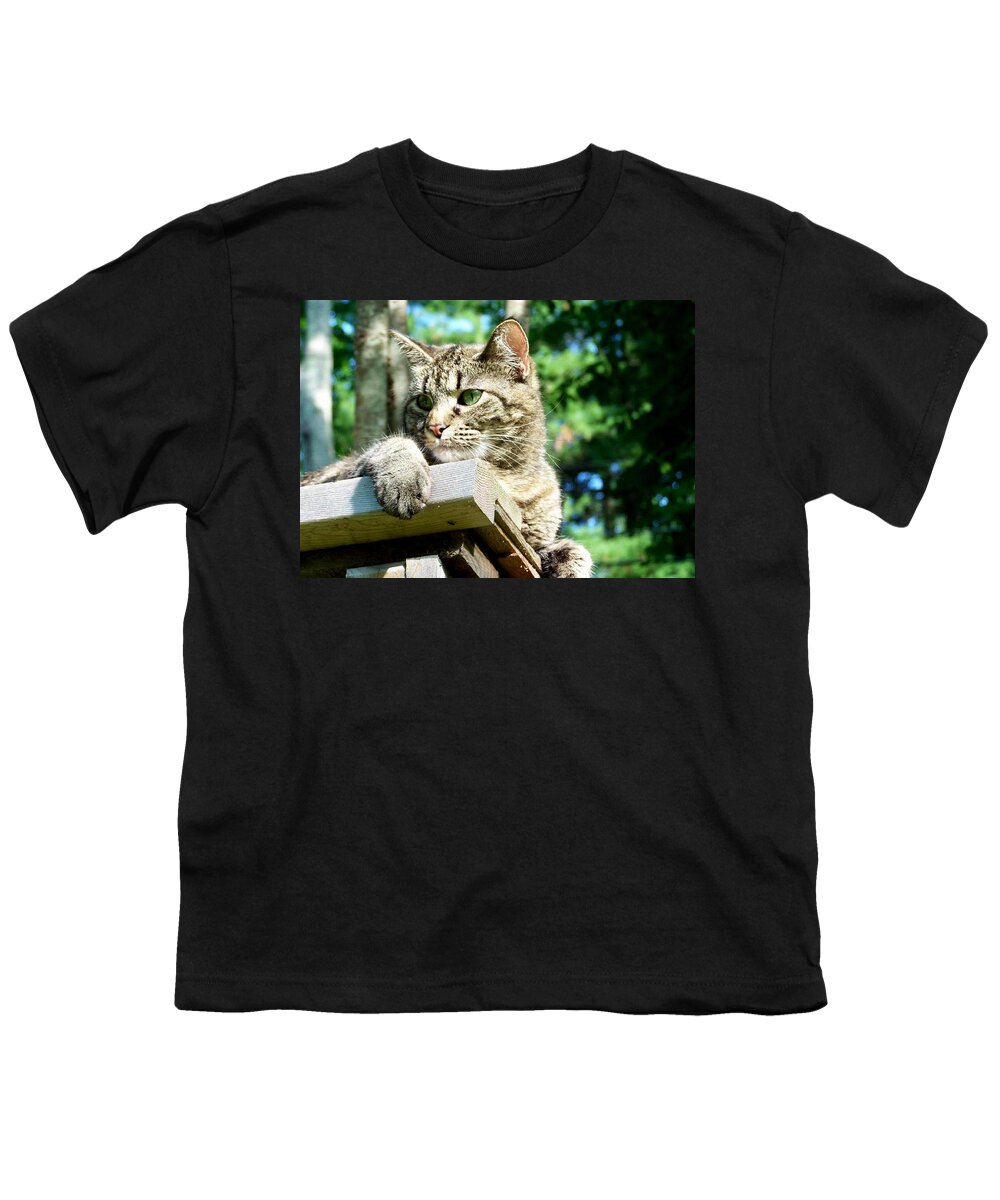 Cat Youth T-Shirt featuring the photograph Echoe 1 by Kim Galluzzo