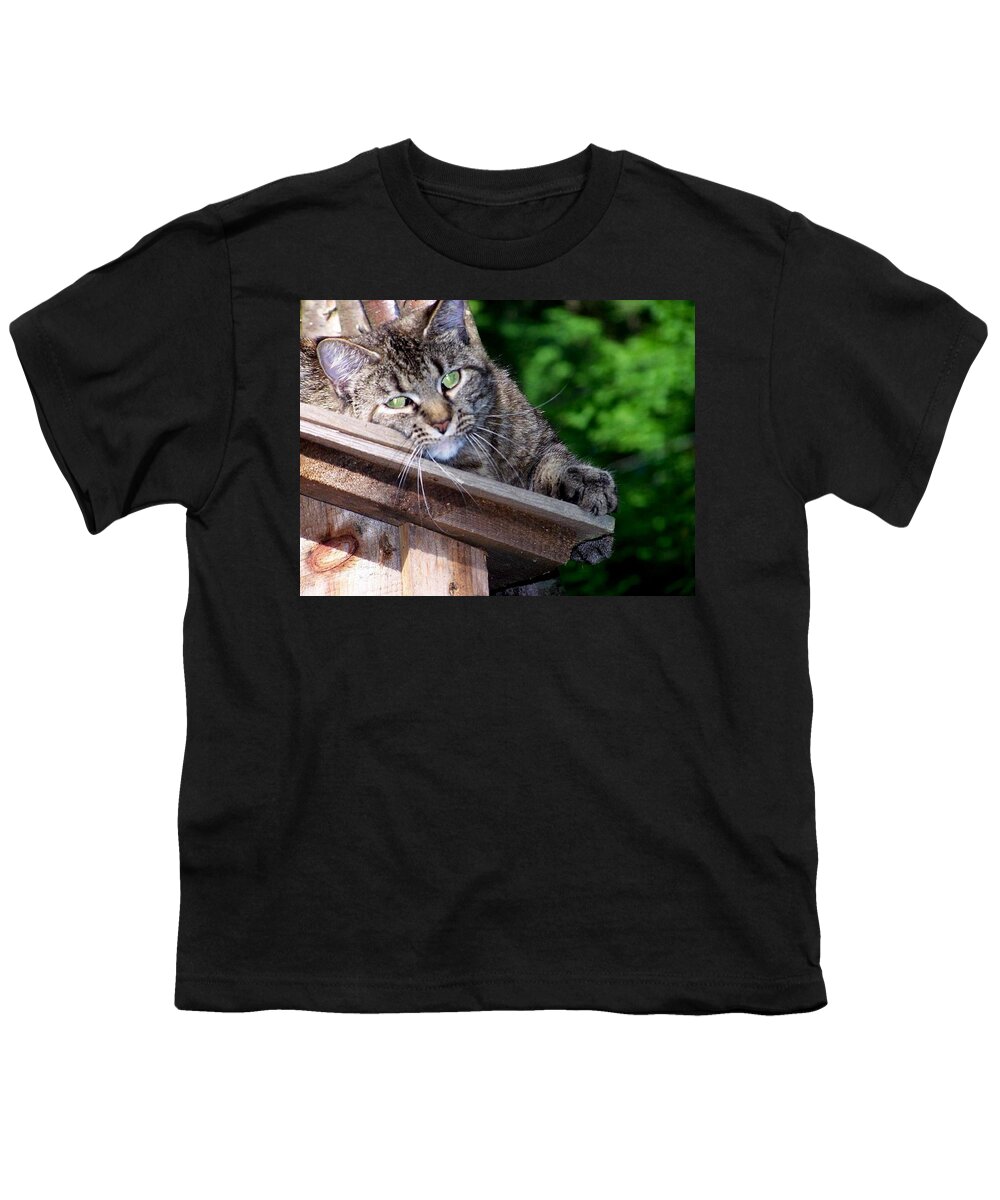 Cat Youth T-Shirt featuring the photograph Echoe 2 posing by Kim Galluzzo