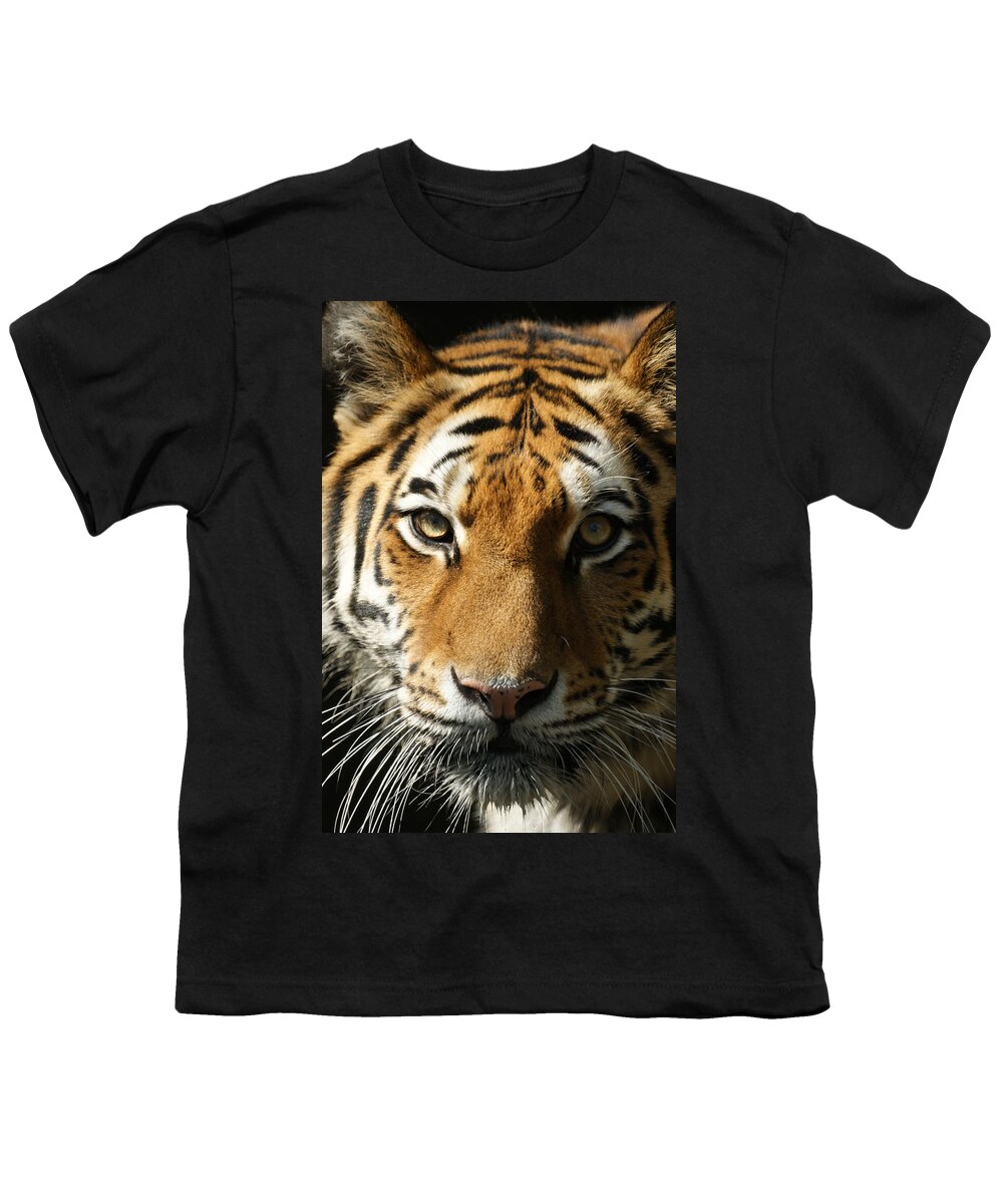 Tiger Youth T-Shirt featuring the photograph Eye Contact by Ernest Echols