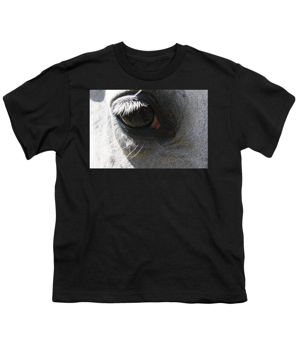 Eye Youth T-Shirt featuring the photograph Eye of Equus by Cathie Douglas