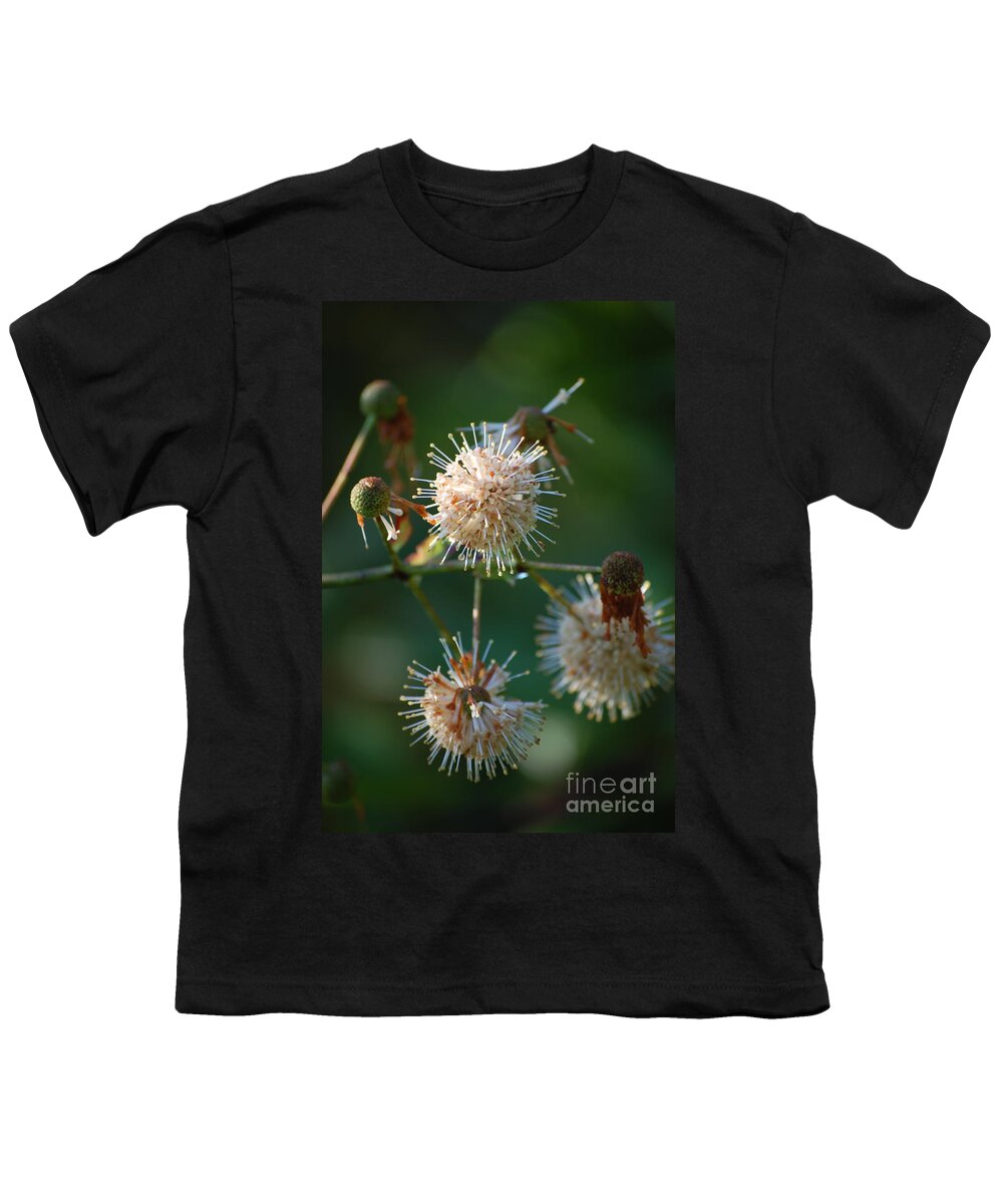 Buttonbush Youth T-Shirt featuring the photograph Fallen Flowers by Robert Meanor